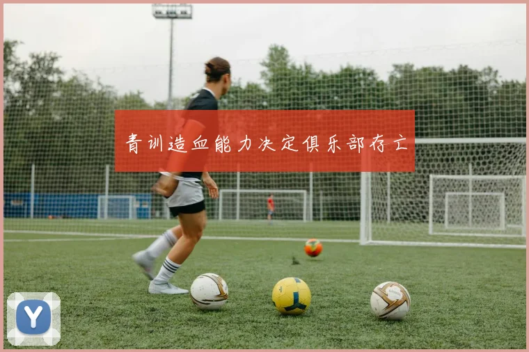 青训造血能力决定俱乐部存亡
