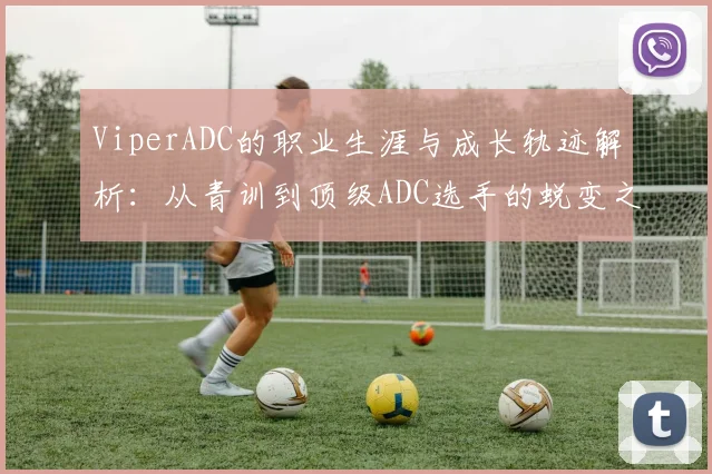 ViperADC的职业生涯与成长轨迹解析：从青训到顶级ADC选手的蜕变之路