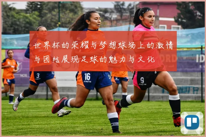 世界杯的荣耀与梦想球场上的激情与团结展现足球的魅力与文化